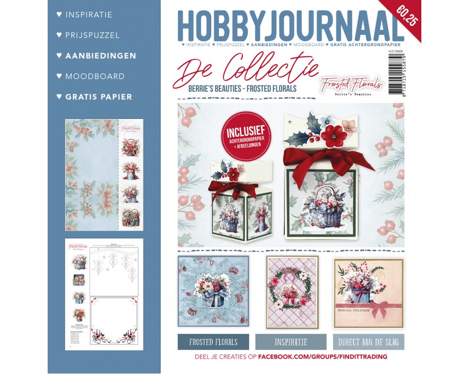 Hobbyzine