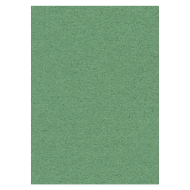 Cardstock 270 grs -50 x 70 cm - Green