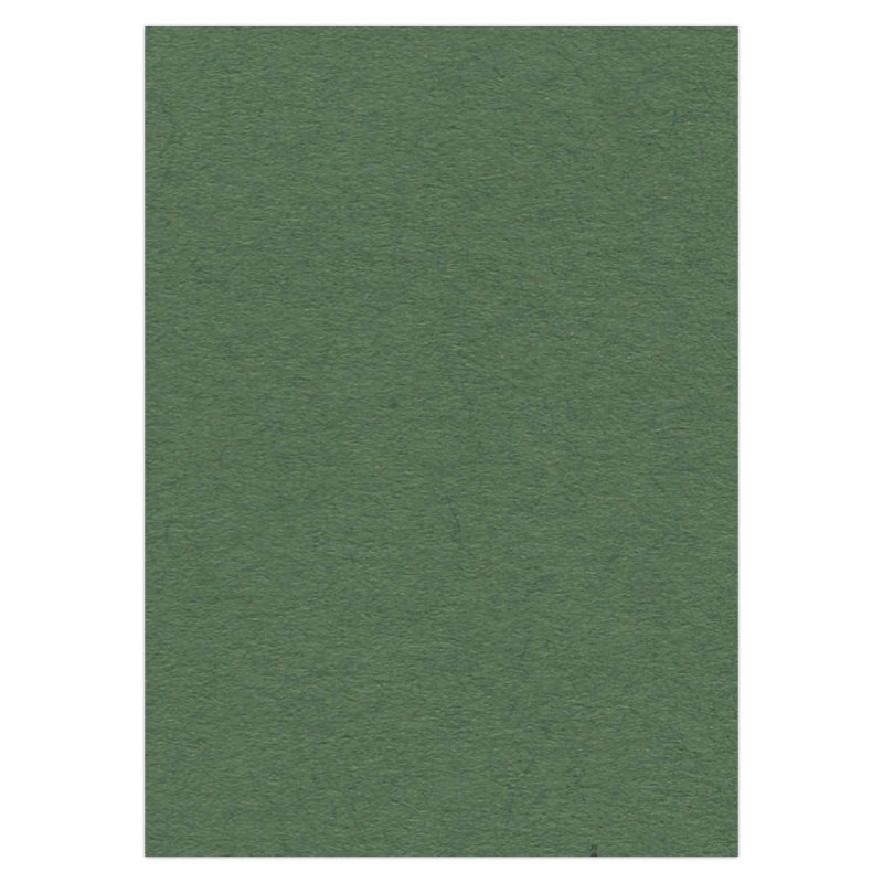 Cardstock 270 grs -50 x 70 cm - Forest Green