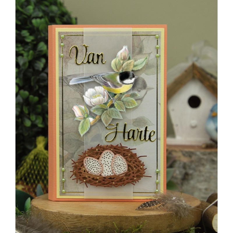 3D Push Out - Jeanine's Art - Vintage Birds - Birdcage