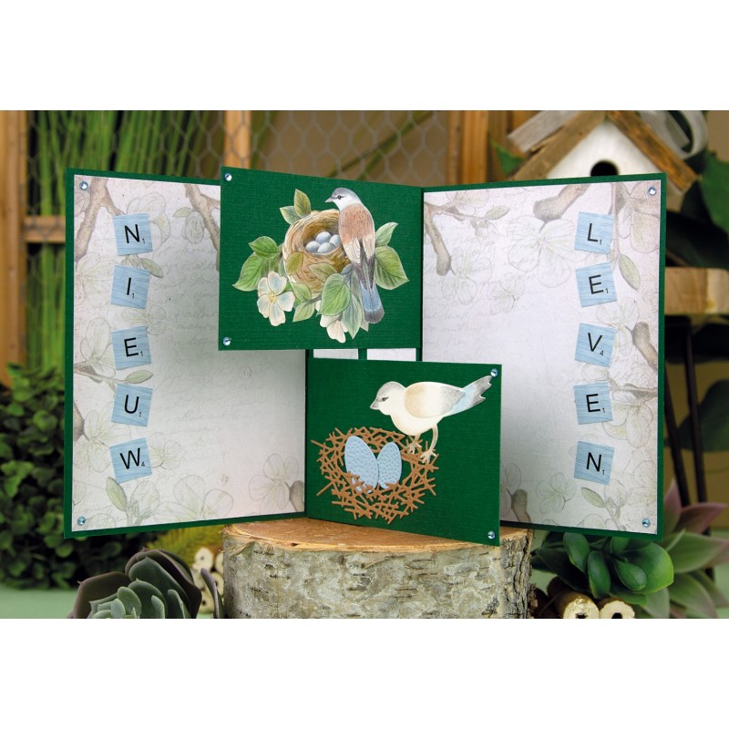 3D Push Out - Jeanine's Art - Vintage Birds - Bird's Nest
