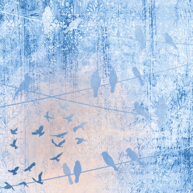 Paperpack - Berries Beauties - Happy Blue Birds - Design