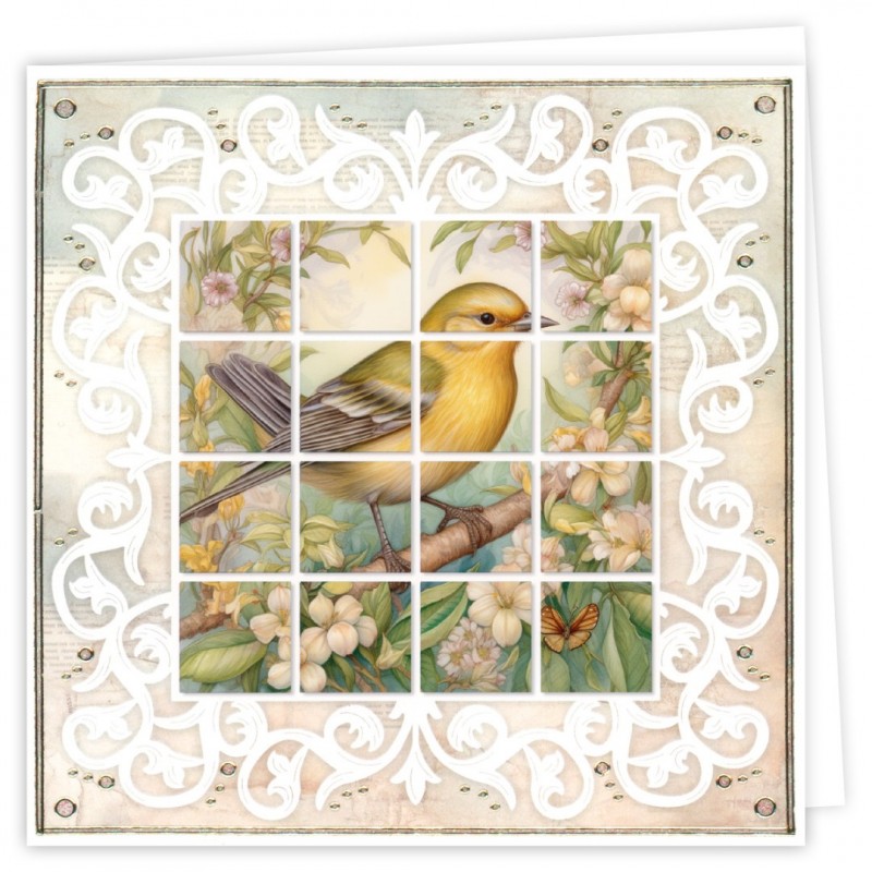 BLPP002 - Bloxxx 2 - Spring Birds