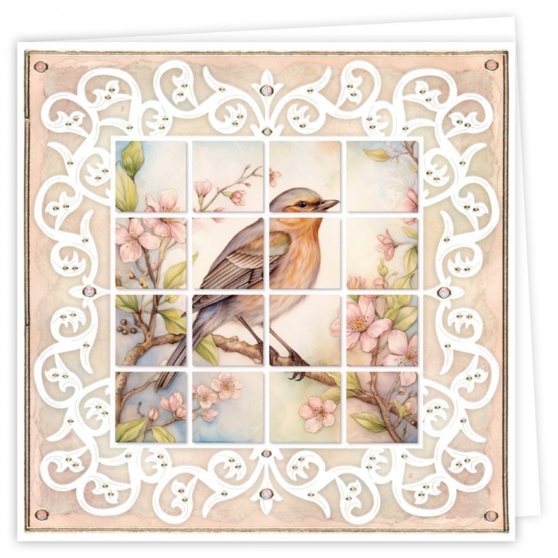 BLPP002 - Bloxxx 2 - Spring Birds