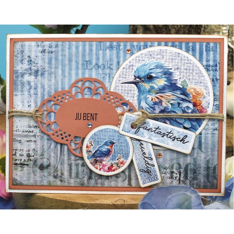 Hobbyjournaal 227