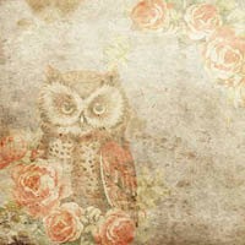 Paperpack - Berries Beauties - Romantic Birds - Design