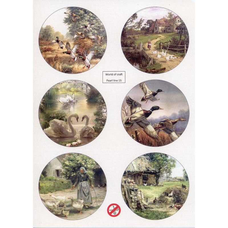 Scenery Parelmoer - WOC - nr15 - Birds - Round