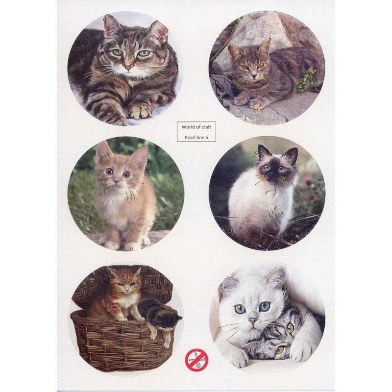 Scenery Parelmoer - WOC - nr05 - Cats - Round