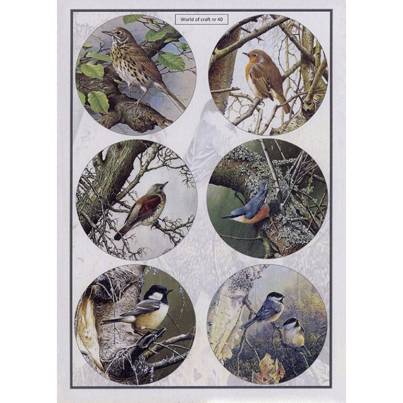 Cutting Sheet - WOC - nr 40 - Woodland Birds Cutting Sheet - WOC - nr 40 - Woodland Birds